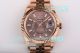 ES Factory Swiss Replica Rolex Sky-Dweller World Timer Rose Gold Brown Face Jubilee Watch (3)_th.jpg
